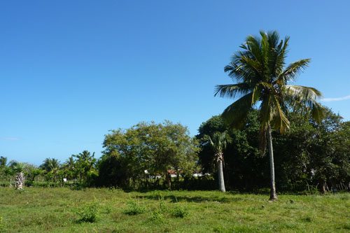 #3 Building Lot with Ocean View in Cabarete