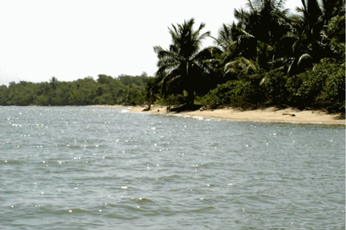 #2 Magnificent beach front land near Samana