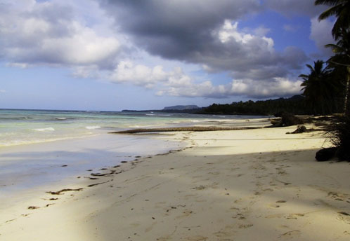 #4 Magnificent beach front land near Samana