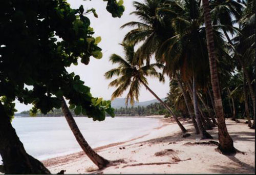 #7 Magnificent beach front land near Samana