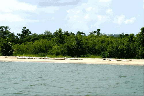 #1 Magnificent beach front land near Samana