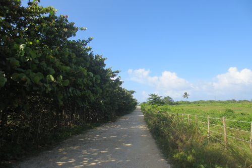 #5 Beautiful and well-proportioned beachfront lot at the kite beach Cabarete