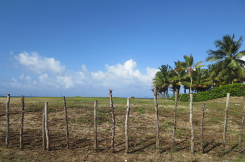 #1 Beautiful and well-proportioned beachfront lot at the kite beach Cabarete