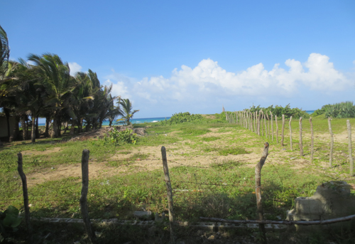 #3 Beautiful and well-proportioned beachfront lot at the kite beach Cabarete