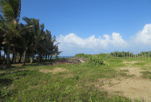 #4 Beautiful and well-proportioned beachfront lot at the kite beach Cabarete