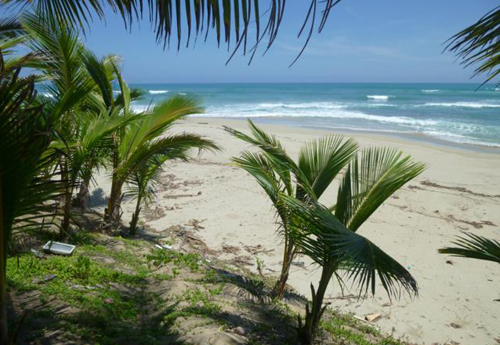 #0 Beautiful and well-proportioned beachfront lot at the kite beach Cabarete