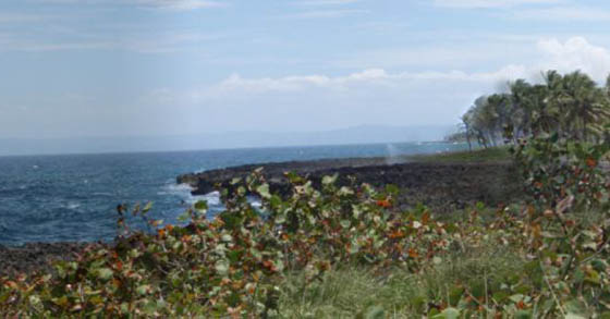 #4 Oceanfront Land in unspoilt area of Samana