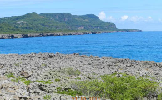 #3 Oceanfront Land in unspoilt area of Samana