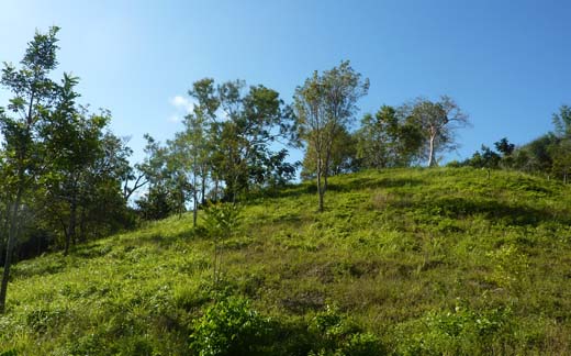 #7 Beautiful hillside land in popular area