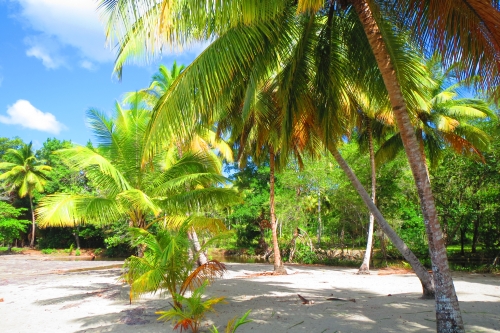 #7 Beachfront development land at Playa Magante