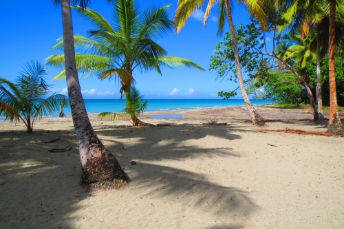 #1 Beachfront development land at Playa Magante