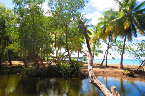 #3 Beachfront development land at Playa Magante