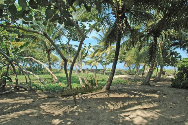 #3 Beachfront Lot in Cabarete with 150 meters beachfront