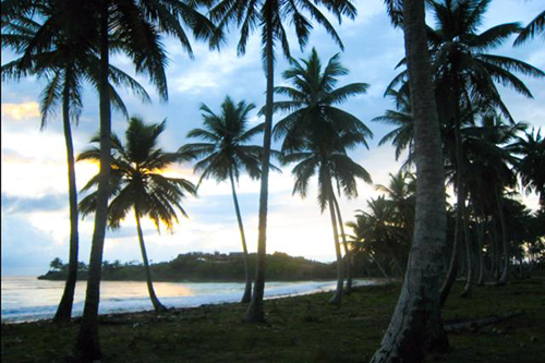 #5 Beautiful oceanfront lots at very competitive price - Cabrera