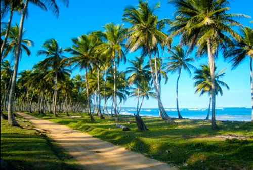 #4 Beautiful oceanfront lots at very competitive price - Cabrera