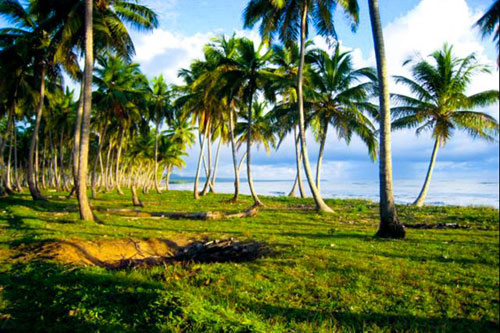 #7 Beautiful oceanfront lots at very competitive price - Cabrera