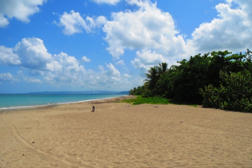 #9 Stunning Beachfront Property