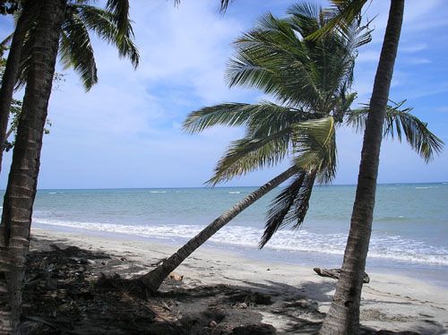 #4 Beachfront Farm Magante near Rio San Juan