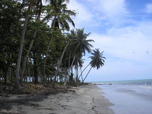 #3 Beachfront Farm Magante near Rio San Juan