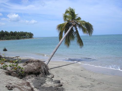 #1 Beachfront Farm Magante near Rio San Juan