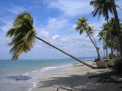 #0 Beachfront Farm Magante near Rio San Juan