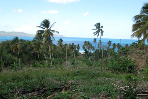 #3 Beachfront land at the beautiful Playa Rincon - Samana