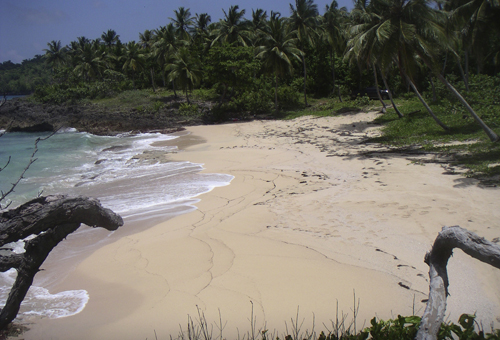 #1 Beachfront land at the beautiful Playa Rincon - Samana