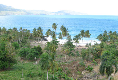 #4 Beachfront land at the beautiful Playa Rincon - Samana