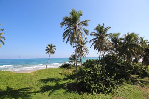 #9 Excellent commercial property in the heart of Cabarete