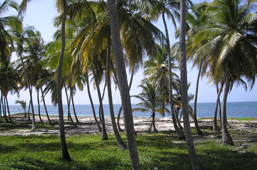 #1 Beautiful ocean front land near Bayahibe