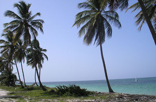 #2 Beautiful ocean front land near Bayahibe