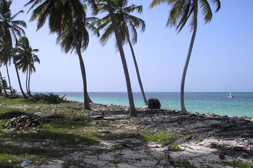 #3 Beautiful ocean front land near Bayahibe