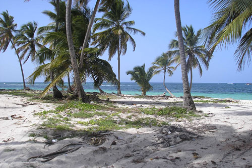 #4 Beautiful ocean front land near Bayahibe