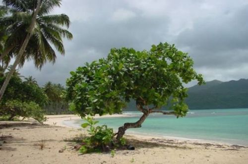 #0 Development Land Samana