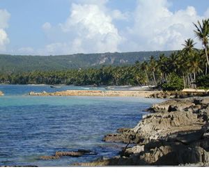 #2 Development Land Samana