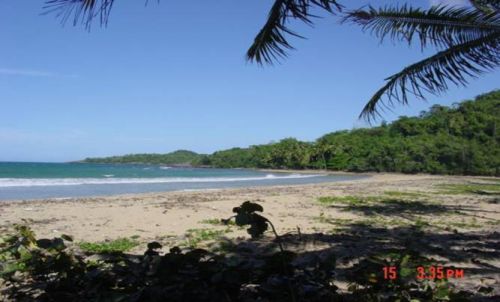 #3 Development Land Samana