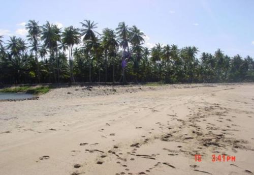 #4 Development Land Samana