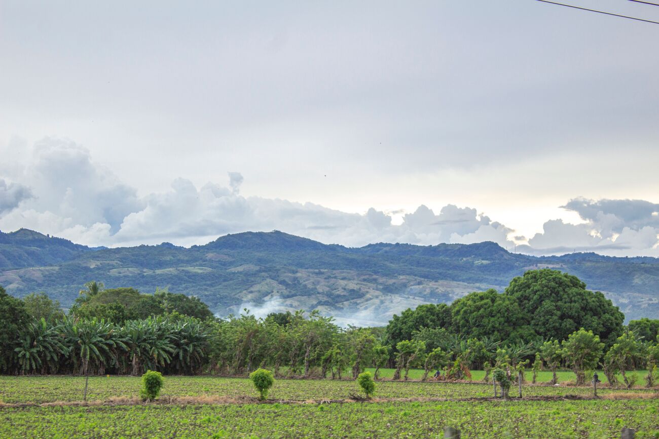 Expansive Rural Farm for Sale in Higüey, La Altagracia Province — La Altagracia, Dominican Republic