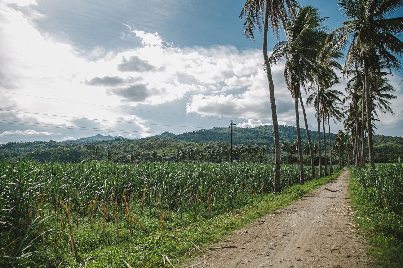 Expansive Rural Farm for Sale in Higüey, La Altagracia Province — La Altagracia, Dominican Republic
