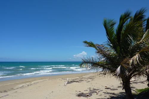 #11 Beautifully designed beach hotel in Cabarete