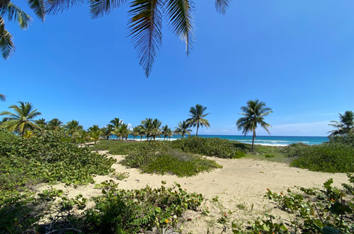 #2 Unique beach property near Cabarete