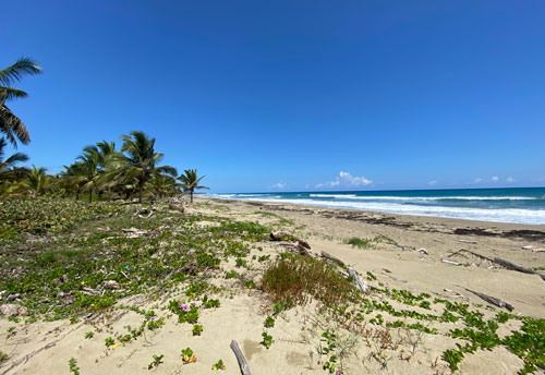 #5 Unique beach property near Cabarete