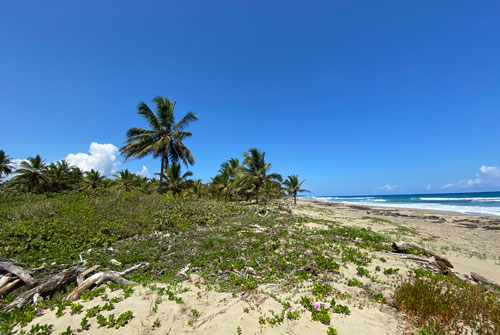 #6 Unique beach property near Cabarete