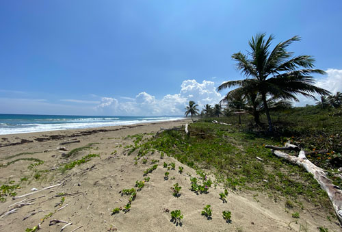 #7 Unique beach property near Cabarete