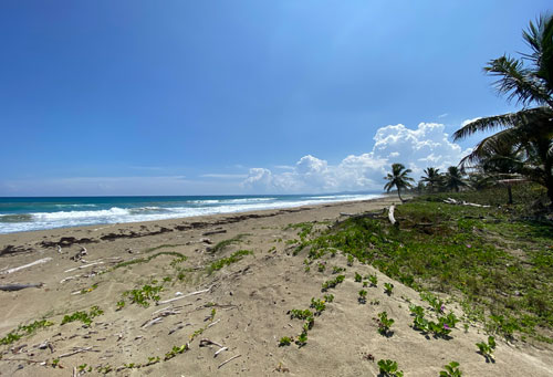 #8 Unique beach property near Cabarete