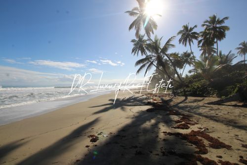 #1 Beach front lot for sale near Cabarete