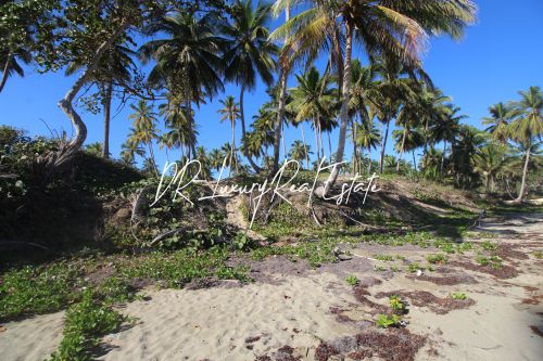 #2 Beach front lot for sale near Cabarete