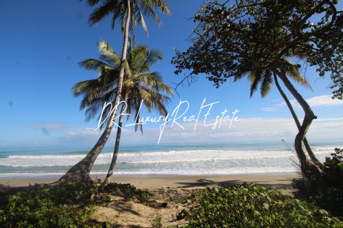 #4 Beach front lot for sale near Cabarete