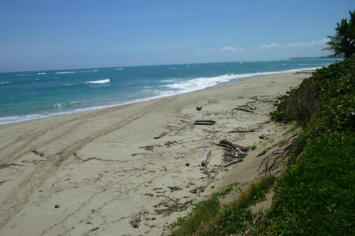 #0 Beachfront Property Cabarete Kitebeach