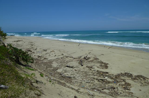 #2 Beachfront Property Cabarete Kitebeach